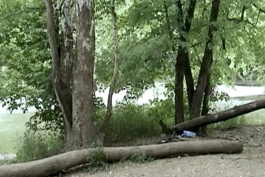 hart leshkina, hartleshkina, hart lëshkina, hart and lëshkina, hart+lëshkina, hartlëshkina, tatiana hart lëshkina, tati hart lëshkina, tati lëshkina, tania lëshkina, tatiana lëshkina, tatiana leshkina, tati leshkina, tania leshkina, tanya leshkina, tatyana leshkina, tanja leshkina, hart lëshinka, hart+lëshinka, hart and lëshinka, hartlëshinka, tatiana lëshinka, tati lëshinka, tania lëshinka, hart+leshkina, hart and leshkina, hart leshinka, tatiana leshinka, tati leshinka, tania leshinka, erik hart, erick hart, eric hart, erik hardt, eric hardt, erick hardt, hart + lëshkina, hart + leshkina, hart + leshinka, erik hart lëshkina, eric hart leshkina, erik hart and leshkina, eric hart lëshkina, art, artist, contemporary art, contemporary photography, fine art photography, artwork, gallery, installation view, installation, photography installation, print, photobook, photo book, fashion photography, book, contemporary artist, contemporary art photographer, contemporary art photography, fine art, fashion photographer, fine art photographer, fashion, image maker, artist duo, video, commercial director, art director, creative director, stylist, fashion stylist, fashion editor, fashion editorial, commissioned work, filmmaker, film, director, advertising, commercial director, commercial photographer, commercial photography, branding, magazine, magazine editorial, publishing, los angeles, new york, paris, milan, London, Zara Mirkin, replica man, replica magazine, replica man magazine, michele Mansoor, editorial Hart Leshkina